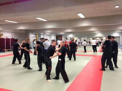 IMAA International martial arts alliance Wing Tjun Kung Fu Academy Luxemburg 2014 www.kungfudeutschland.de www.kungfuitalia.it Leonberg Italia Chun Tsun Brazilian Jiu Jitsu Escrima